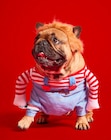 Costume Chucky - Gifi Costume Chucky à 7,90 € dans le catalogue Gifi