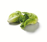 Lidl - Mini Romana Salat Angebot im Prospekt Mini Romana Salat bei Lidl im Prospekt "" für 0,69 €