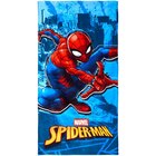Serviette de plage Disney - Disney - Action à Noisy-le-Grand Serviette de plage Disney - Disney en promo chez Action Noisy-le-Grand à 3,95 €