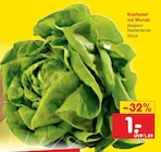 Kopfsalat mit Wurzel im aktuellen Netto Marken-Discount Prospekt