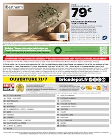 Promo Boîte De Rangement dans le catalogue Brico Dépôt du moment à la page 80