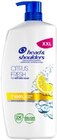 Shampoo im Angebot bei Kaufland in Wermelskirchen Shampoo Angebote von HEAD & SHOULDERS bei Kaufland Wermelskirchen für 8,88 €