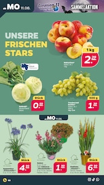 Aktueller Netto mit dem Scottie Prospekt mit Gemüse, "Günstig. Besser. Für Dich.", Seite 2
