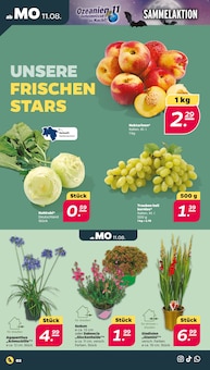 Aktueller Netto mit dem Scottie Prospekt "Günstig. Besser. Für Dich." Seite 2 von 34 Seiten für Havelberg