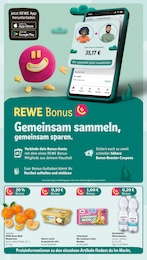 REWE Obst im Prospekt 