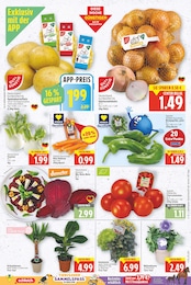 Pflanzen Angebot & Preis im aktuellen E center Prospekt Pflanzen Angebot im aktuellen E center Prospekt auf Seite 3