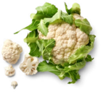 Dtsch./poln. Kulturchampignons, braun Angebote bei Kaufland Magdeburg für 1,79 €