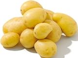 Aktuelles Speisefrühkartoffeln Angebot bei Netto mit dem Scottie in Chemnitz ab 3,49 €