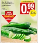Salatgurken bei WEZ im Prospekt "" für 0,99 €