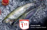 Frische Forelle im Angebot bei GLOBUS in Hof Frische Forelle Angebote bei GLOBUS Hof für 1,11 €