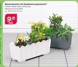 Blumenkasten mit Bewässerungssystem  im aktuellen Netto mit dem Scottie Prospekt für 9,99 €