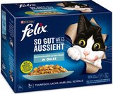 Katzennahrung Angebote von Felix bei REWE Bensheim für 3,99 €
