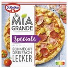 La Mia Familia/La Mia Grande im Angebot bei Lidl in Speyer La Mia Familia/La Mia Grande Angebote von Dr. Oetker bei Lidl Speyer für 3,49 €