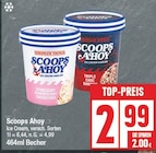 Ice Cream von Scoops Ahoy im aktuellen EDEKA Prospekt