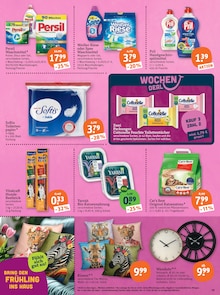 Katzenstreu im tegut Prospekt "tegut… gute Lebensmittel" mit 23 Seiten (Stuttgart)