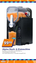 Action Alpina im Prospekt 