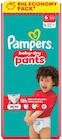 Aktuelles Big Pack Pants Angebot bei REWE in Cottbus
