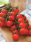 Tomate cerise grappe - U - U Express à Villeneuve-d'Ascq Tomate cerise grappe - U en promo chez U Express Villeneuve-d'Ascq à 2,99 €