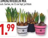 BLUMENZWIEBELN MIX Angebote bei Marktkauf Marl für 1,99 €