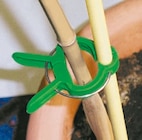 Pflanzen-Befestigungsclips im aktuellen Thomas Philipps Prospekt