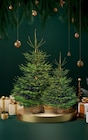 Grand sapin Nordman 1er choix en promo chez Lidl Boulogne-sur-Mer à 24,99 €