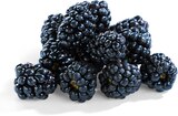 Brombeeren von Driscoll's für 1,49 € bei Netto Marken-Discount im Angebot Brombeeren von Driscoll's im aktuellen Netto Marken-Discount Prospekt