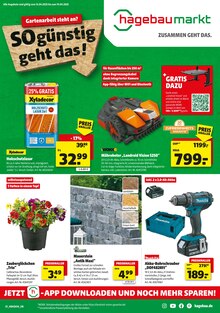 Hagebaumarkt Prospekt der Woche "Gartenarbeit steht an? SO günstig geht das!" Seite 1, 12.04.2025 bis 19.04.2025 für Bad Berleburg Aktueller Hagebaumarkt Prospekt "Gartenarbeit steht an? SO günstig geht das!" Seite 1 von 20 Seiten für Bad Berleburg