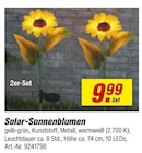 Solar-Sonnenblumen Angebote bei toom Baumarkt Düsseldorf für 9,99 €