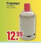 Propangas bei Trinkgut im Rhede Prospekt für 12,99 €