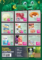 Pizza im Marktkauf Prospekt in Leipzig Aktueller Marktkauf Prospekt mit Pizza, "AUSWAHL RIESIG, PREISE NIEDRIG", Seite 2