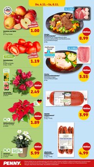 Zimmerpflanzen im Penny Prospekt "Wer günstig will, muss Penny." mit 46 Seiten (Duisburg)