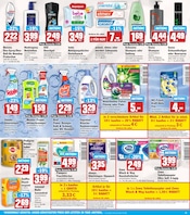 Aktueller HIT Prospekt mit Ariel, "ECHTE VIELFALT", Seite 15