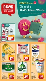 REWE Hilden Prospekt der aktuellen Woche, gültig von 13.10.2025 bis 18.10.2025 Aktueller REWE Hilden Prospekt "Dein Markt" mit 28 Seiten