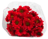 Aktuelle Blumen Angebote bei EDEKA in Hamburg Aktuelles Chrysanthemen Angebot bei EDEKA in Hamburg ab 2,49 €