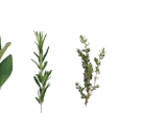 Kaufland Ettlingen Prospekt mit  im Angebot für 1,99 €