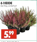 Angebot im Wreesmann Hohenstein-Ernstthal Prospekt Wreesmann Hohenstein-Ernstthal Prospekt mit im Angebot fĂŒr 5,99 âŹ