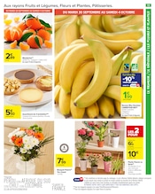 Plante Verte Angebote im Prospekt "LE COIN DES ENFANTS" von Carrefour Market auf Seite 15