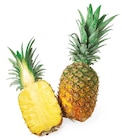 Gold Ananas im Angebot bei REWE in Neuss Gold Ananas Angebote bei REWE Neuss für 2,99 €
