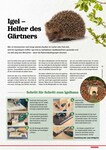 Holzschrauben Holzschrauben