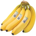 Bio Bananen Angebote von REWE bei REWE Pinneberg für 1,79 €