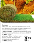 Rollrasen „Spiel- und Sport“ Angebote bei Hellweg Osnabrück für 8,99 €