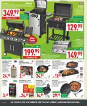 Aktueller Marktkauf Prospekt mit BBQ-Grill, "Aktuelle Angebote", Seite 24