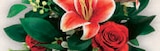 Norma Uckange - Promo roses et lys tigrés Promo roses et lys tigrés à 14,99 € dans le catalogue Norma à Uckange