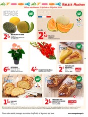 Promos Plante Verte dans le catalogue "La rentrée à prix K.O." de Auchan Hypermarché Plante Verte en promo dans le catalogue Auchan Hypermarché à la page 33
