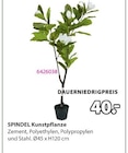 SPINDEL Kunstpflanze im aktuellen JYSK Prospekt