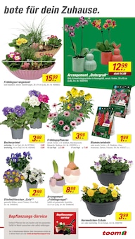 Orchidee im aktuellen toom Baumarkt Prospekt (Köln) Orchidee im toom Baumarkt Prospekt "Respekt, wer's selber macht." mit 26 Seiten (Köln)
