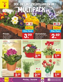 Tulpen im aktuellen Netto Marken-Discount Prospekt (Koblenz) Tulpen im Netto Marken-Discount Prospekt "Aktuelle Angebote" mit 54 Seiten (Koblenz)