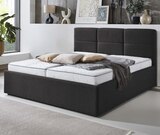 Aktuelles Polsterbett-Gestell Angebot bei BRAUN Möbel-Center in Freiburg (Breisgau) ab 279,00 €