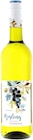 Rheinhessen Riesling Trocken von Weinfels für 2,99 € bei Penny im Angebot Rheinhessen Riesling Trocken von Weinfels im aktuellen Penny Prospekt