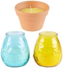 Citronella Kerzen Angebote von Butcher’s bei REWE Schwerin für 2,99 €